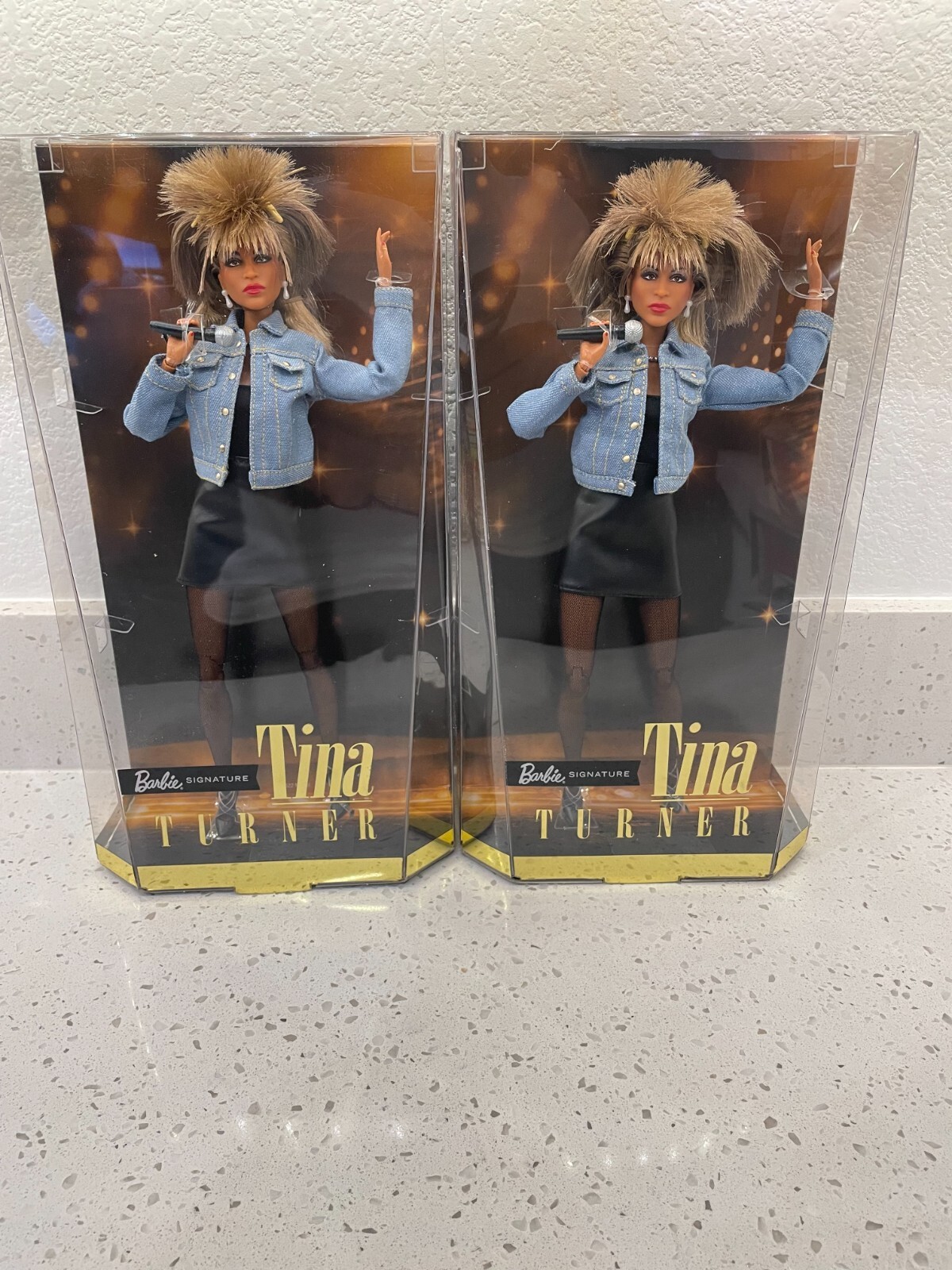 Barbie Signature Tina Turner Doll Music Series Mattel