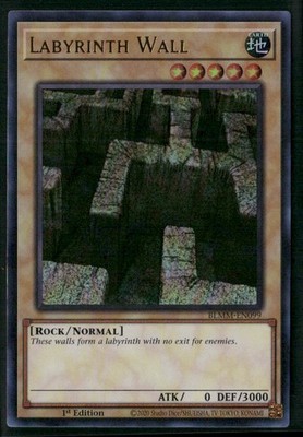 Labyrinth Wall SRL-EN055 Spell Ruler (25th Anniversary Edition) Unlimited LP