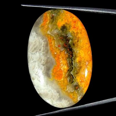 43,70 Cts Natürlicher Bumble Bee Jaspis Ovaler Cabochon Lose Edelstein