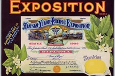 Exposition Lemon Vintage Mid-Century Johnston Fruit Crate Label 1909 Cool Art A2