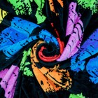 Foto 7 di 8