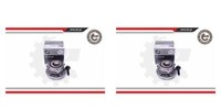 Esen Skv 2X Radnabe Radlagersatz Vorne FüR Mercedes Glc E-Klasse X253 S213 S205
