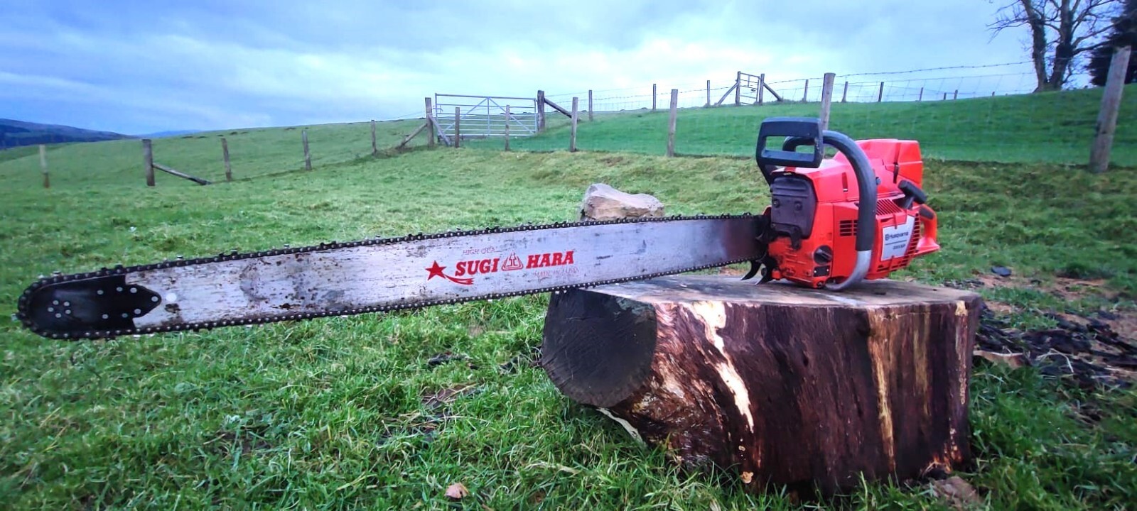 Husqvarna 395xp Professional Chainsaw + 42" Sugihara Bar eBay