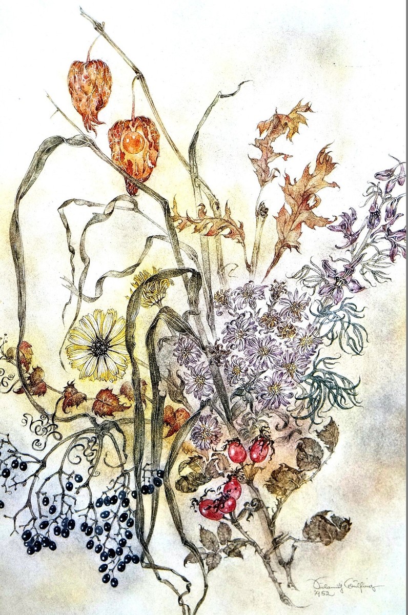 Sulamith Wulfing 1978 AUTUMN FLOWERS BOTANICAL BOUQUET Matted Art