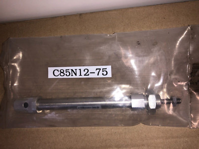 SMC PNEUMATIKZYLINDER C85N12-75 NAGELNEU 30£ + MWST