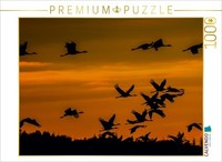 Calvendo Puzzle Kraniche An Der Ostsee 1000 Teile Puzzle Quer | 1000 Teile Lege-