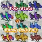 Snow Owl Top Stats Pair ARK🦕 Survival Ascended ASA PVE PC/XBOX/PS