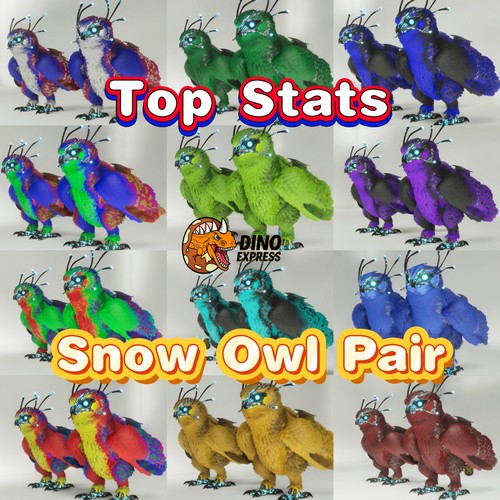 Snow Owl Top Stats Pair ARK🦕 Survival Ascended ASA PVE PC/XBOX/PS