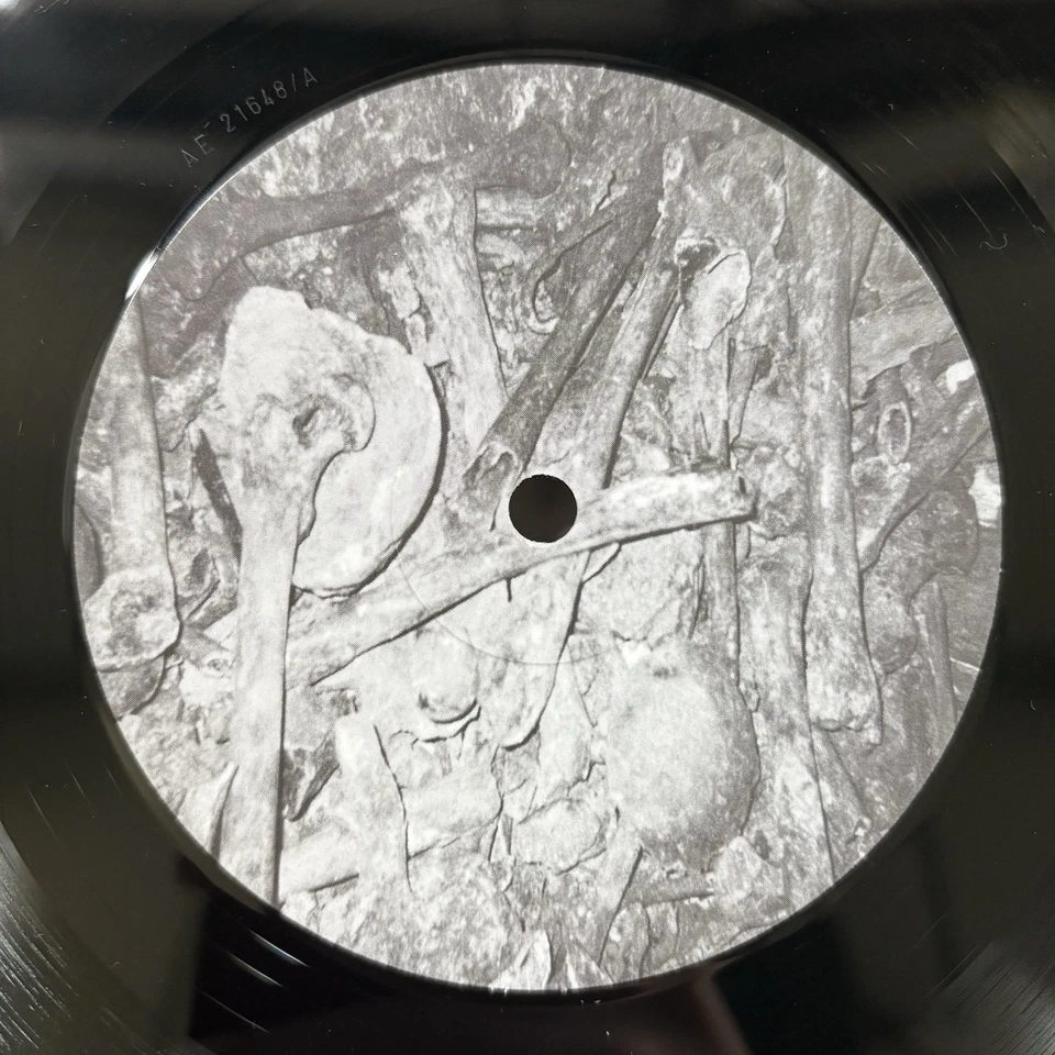 Nomex –Infiltrate Assimilate Propagate Disseminate-UK Adverse LP-ADVERSE 9 NM169 - Image 4 of 4