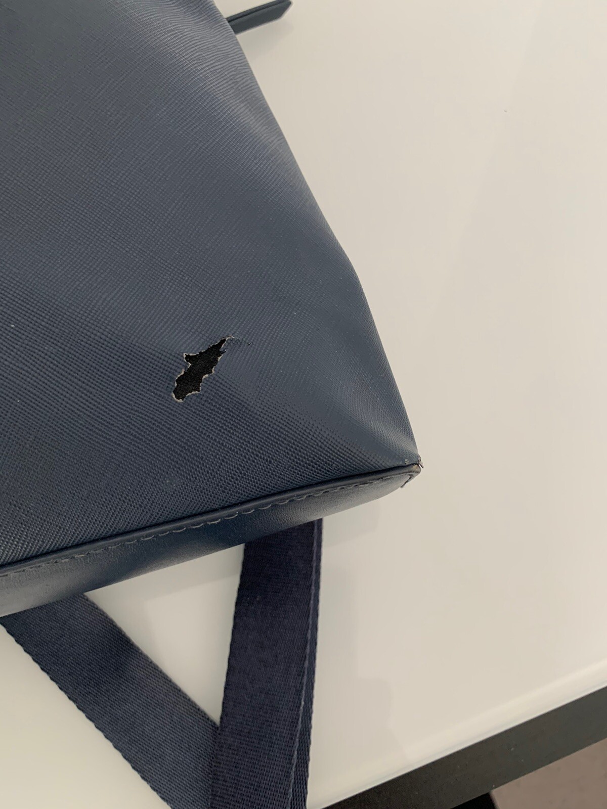 RADLEY Essex Road Responsible Blue Backpack Bag. eBay