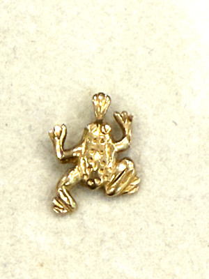 14 Karat Gelbgold Frosch Anhänger