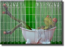 Frog in Bathtub Bathroom Picture on Stretched Canvas, Wall Art D cor, Ready to H