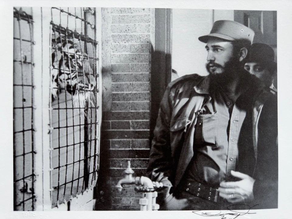 Fidel Castro y el tigre enjaulado - Momento simbólico de Korda estampado vintage Foto 2 de 4
