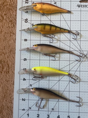 5x Rapala Shad Rap SR-9 Crankbaits Lot Köder 3,5 Vintage Angeln Irland Finnland