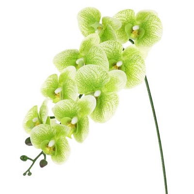 Artificial Orchid Flower for Home, 1 Pack 9 Large Petals [Dark Green]