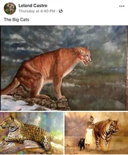 Orig. Southwest oil paintings  big cat cougar