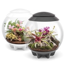 biOrb AIR 60L TERRARIUM ACRYLIC VIV TROPICAL PLANTS AMPHIBIAN ENCLOSURE OASE