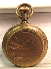  on The Hot Collector