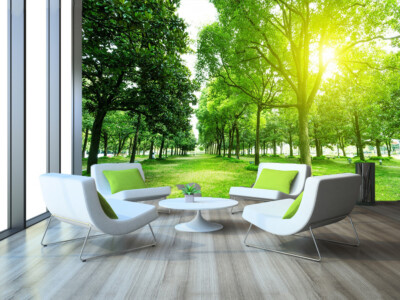 3D Sunny Forest 14963NA Wallpaper Wall Murals Removable Wallpaper Fay