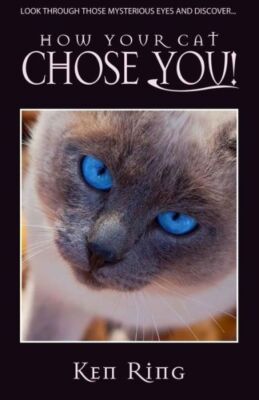 How Your Cat Chose You