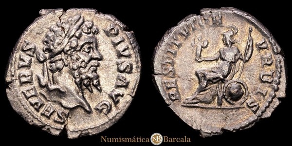 Septimio Severo. Denario. 202-210 dC Roma. (Ric-IV 288). (Bmcre-361). (RSC-606b)