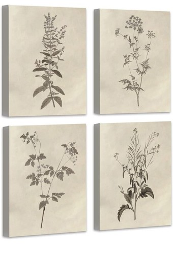 SET Of 4 Botanical Plant Wall Art Canvas Flower Prints NEW With Hanging Hardware - 第 4/5 張圖片
