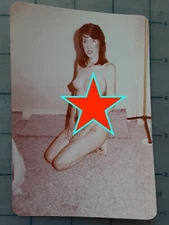 vintage 1970s Amateur Cheesecake pinup PHOTO ORIGINAL home SNAPSHOT Agfa