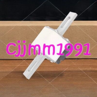 1PC NEW   170M3667 fuse  #F13