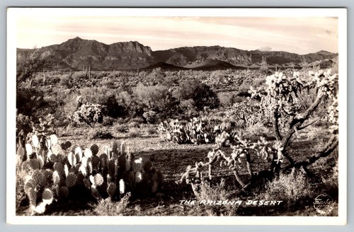 RPPC 1937 Tucson Arizona Cactus Mountains Homestead Postcard - D16
