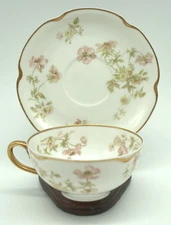 Antique Haviland & Co Limoges Teacup & Saucer Set Pink Floral Porcelain France