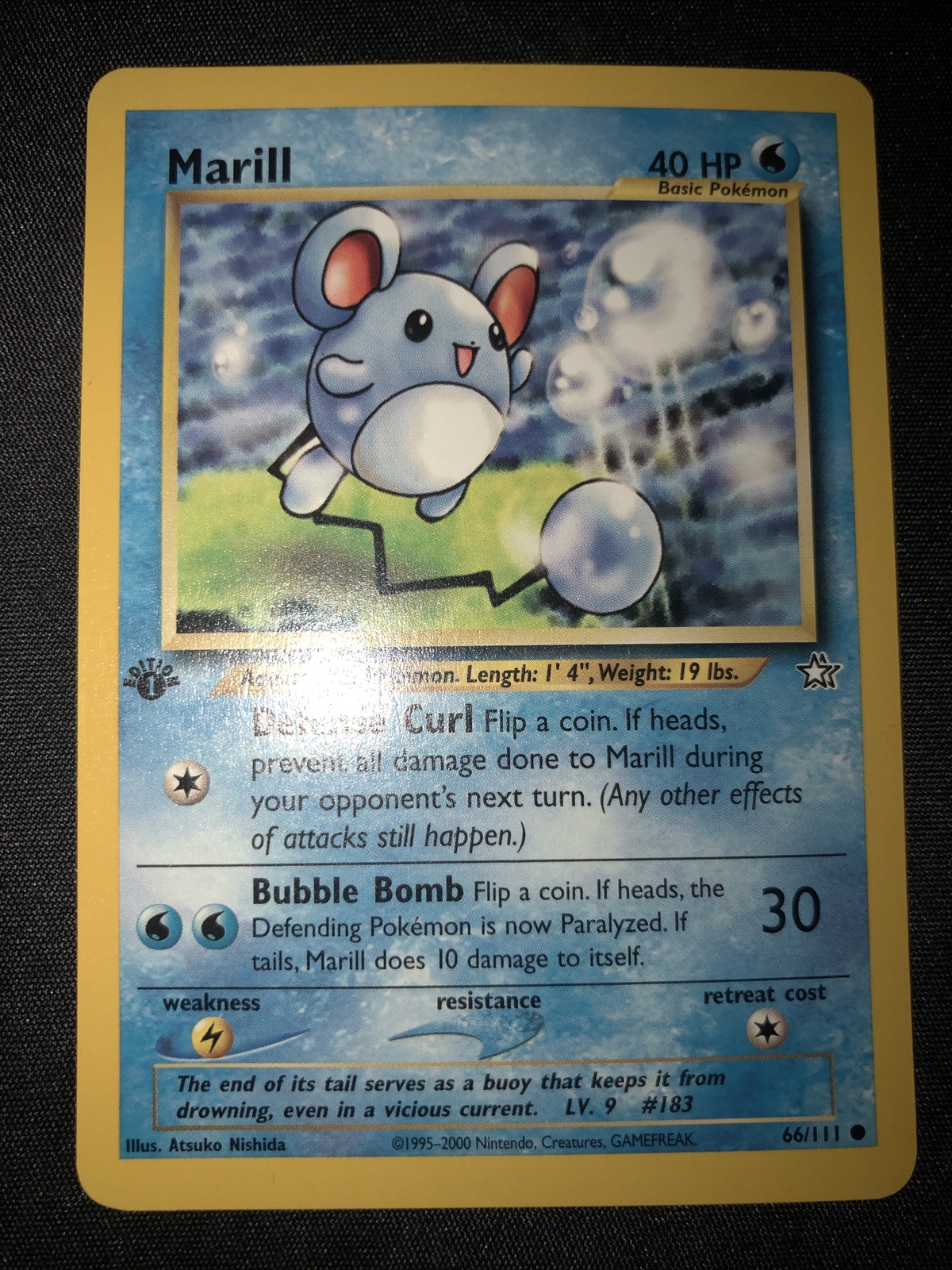 Marill 💧 1st Edition 🥇 Pokemon Card Neo Genesis 66/111 NM 💧