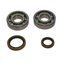 Kurbelwellenlager Satz All Balls Mit Simmerringen 24-1021 FüR Kawasaki KX 125 L