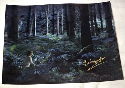 Sadwyn Brophy signiertes 11x14 Foto - Eldarion - Der Herr der Ringe - SWAU Zertifikat