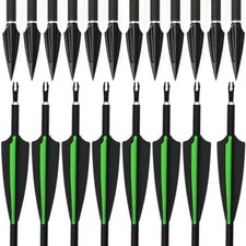 12/24 Carbon Arrows 30'' Hunting Arrows SP500 Recurve Bow Compound Bow Arrowhead