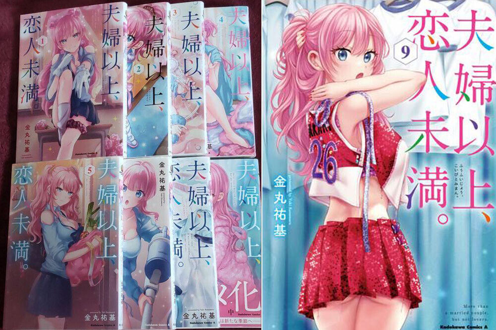 Fuufu Ijou, Koibito Miman Vol. 1-9 BD Set Version Japonaise Manga livres  d'occas