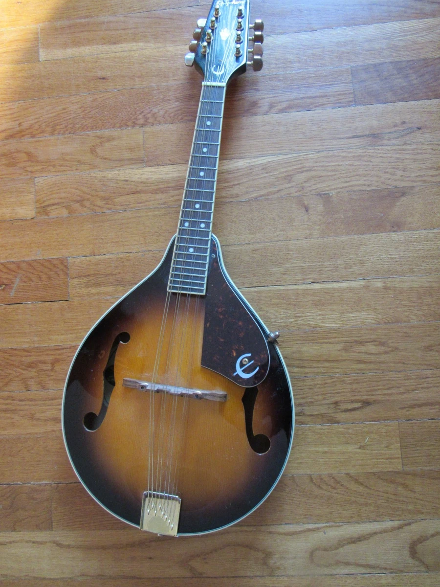 エピフォンUSA マンドリン　希少 M M２０ エピフォンUSA マンドリン 希少 M M20 【公式通販】