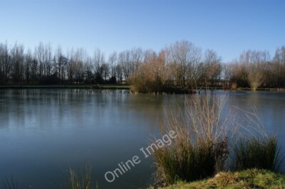Foto 6x4 Enten auf dem Eis auf Thorney Lakes Muchelney Ham c2010