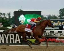 JUSTIFY 2018 BELMONT STAKES 8X10 GLOSSY PHOTO PICTURE IMAGE #6  TRIPLE CROWN