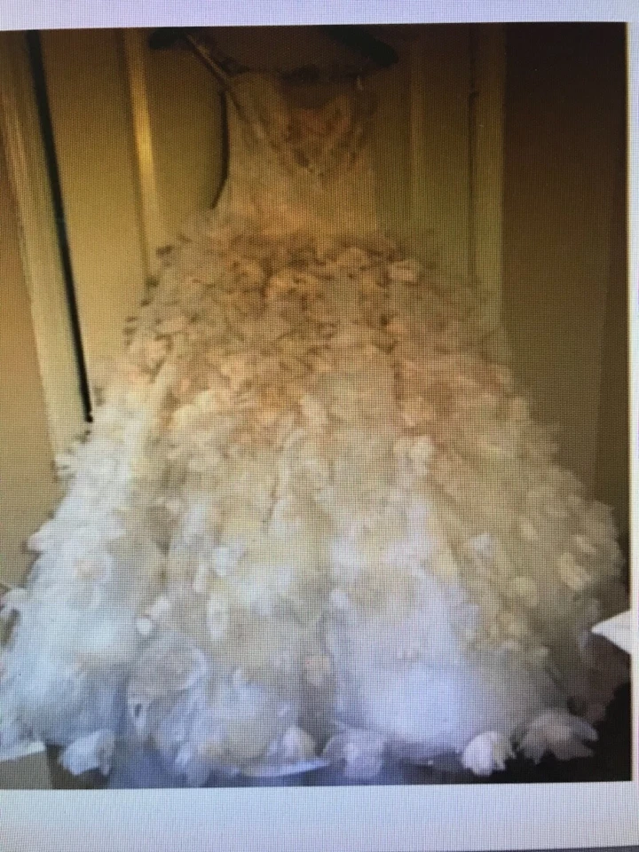 IMPRESIONANTE EXTRAORDINARIO VESTIDO DE NOVIA JIM HJELM MARFIL CLARO, talla 2 Foto 4 de 4