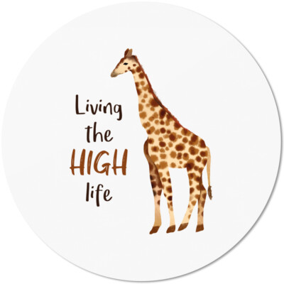 Living the HIGH life 10501008296