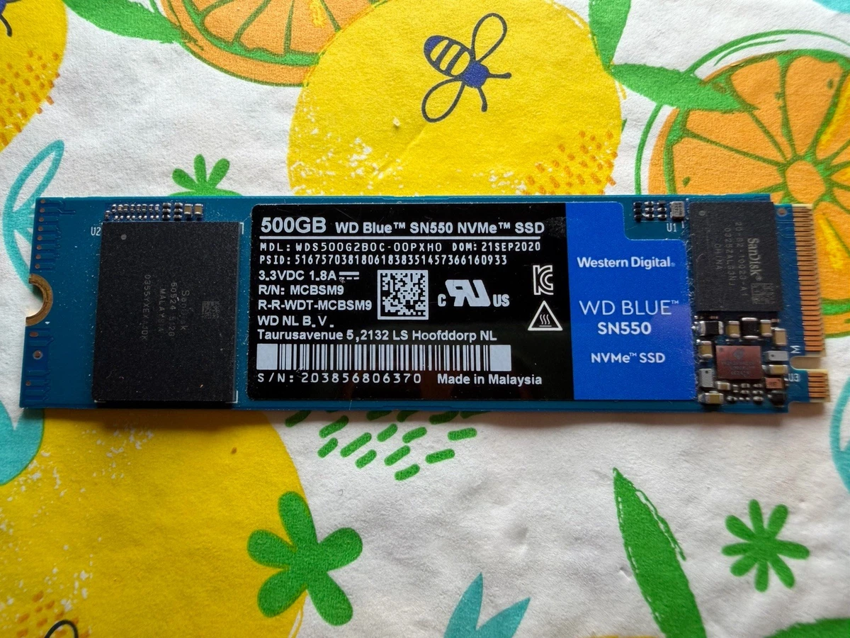 Western Digital M.2 Interface Solid State Drives 500 GB Storage 