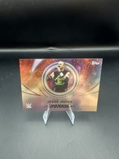 Road Dogg Jesse James 2025 Topps Universe WWE #169 Wrestling Trading Card