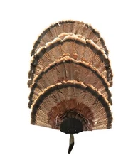 Turkey Fan Mounting Kit. 4 Fan Display System with beard holder. Black