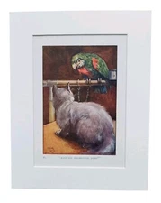 Antique 1920s Pet Parrot And Kitten Book Art Print Picture In Mount Birds Cats