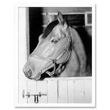 Vintage Photography Sport Animal Portrait Seabiscuit Racehorse Framed Art Print