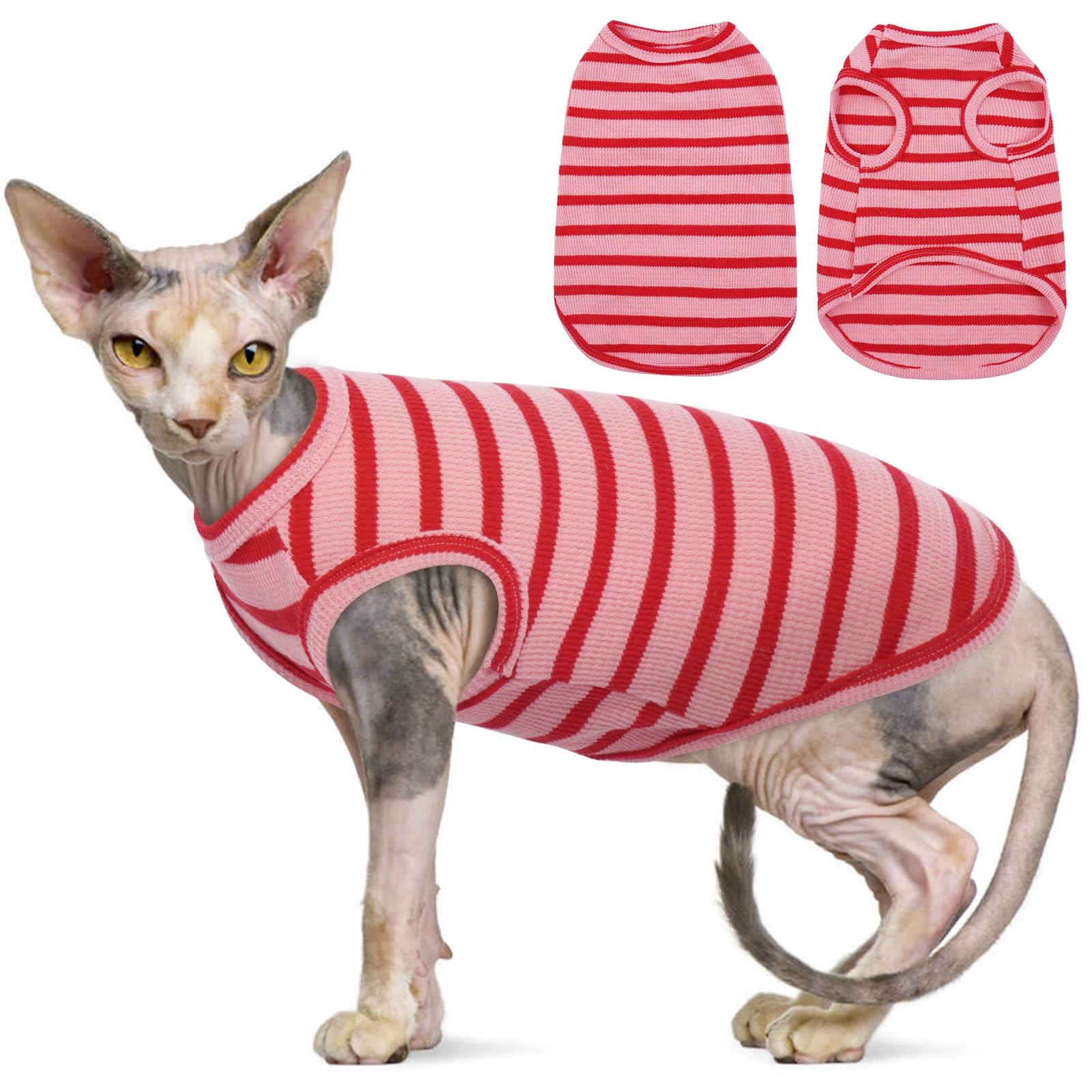 T-Shirt Respirant pour Chat Sphynx Idéal pour les Journées d'Été