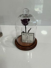 The Forever Rose Enchanted Rose Collection Real Preserved Purple Rose Glass Dome