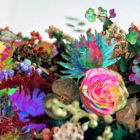 Darkstar - News From Nowhere - Cd - G3Z