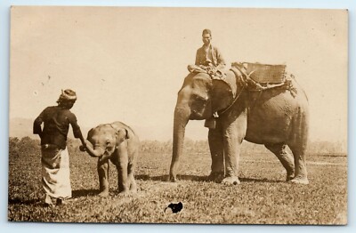 POSTKARTE ASIATISCHER ELEFANT UND BABY ARBEITEN MIT EINHEIMISCHEN - ECHTES FOTO RPPC