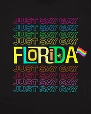 Florida "Just Say Gay" T-shirt (Pride, Queer, Don't Say Gay Shirt) Active